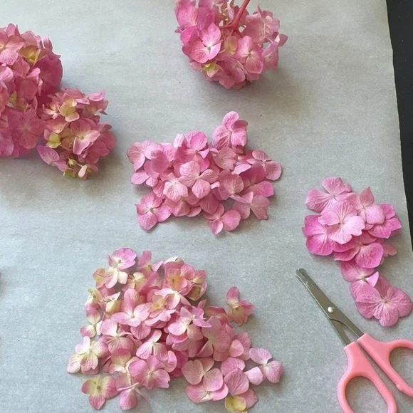 Real pressed flower art - hydrangea
